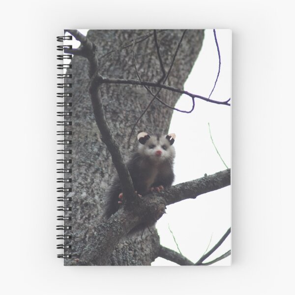 Item preview, Possum designed and sold by Jacobcroland92.