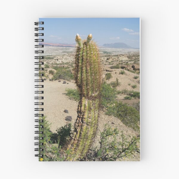 Item preview, cactus designed and sold by cable.