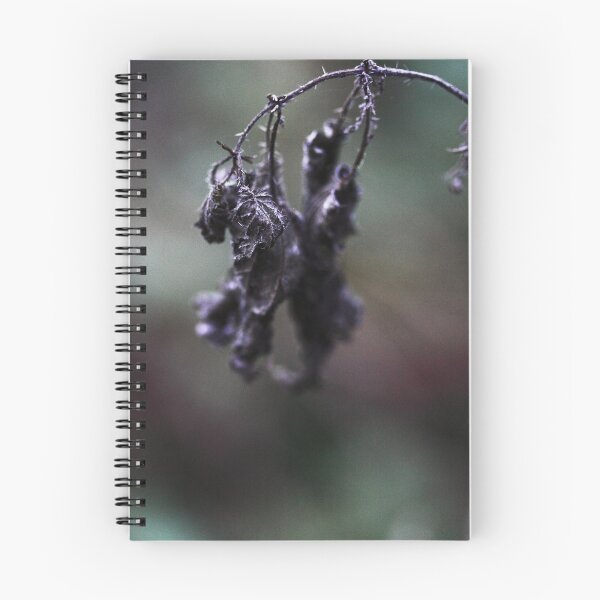 Artikelvorschau, Winter Death I entworfen und verkauft von LowLightImages.