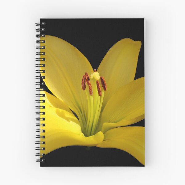 Aperçu de l'œuvre Lily créée et vendue par Paul Earl.