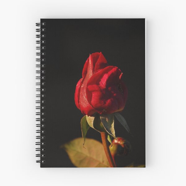 Item preview, Frozen Rose designed and sold by Kerensa Davies.