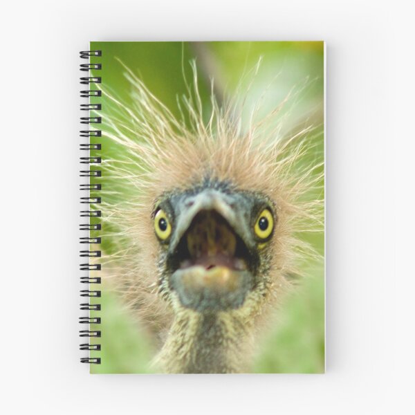 Item preview, "Young Einstein" - Baby Tri-Colored Heron Calls Out From Nest designed and sold by ArtThatSmiles.