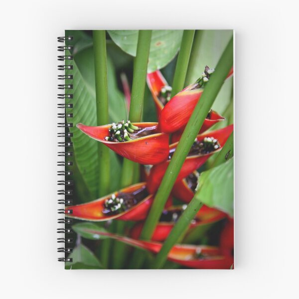 Item preview, Red Flower Cups designed and sold by David R. Anderson.