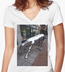 #Stamford, #StamfordCity, #winter, #nature, #snow, #frost, #outdoors, #icee #cold, #wood, #season, #bird, #tree, #frozen, #dry, #garden, #grass, #weather, #horizontal, #colorimage, #nopeople Women's Fitted V-Neck T-Shirt
