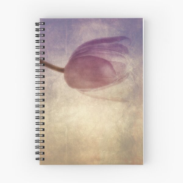 Item preview, Rose coloured designed and sold by Softly.
