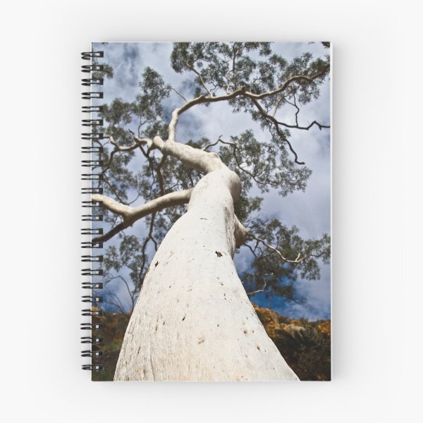 Item preview, Ghost Gum Against Sky designed and sold by JourneyPhotos.