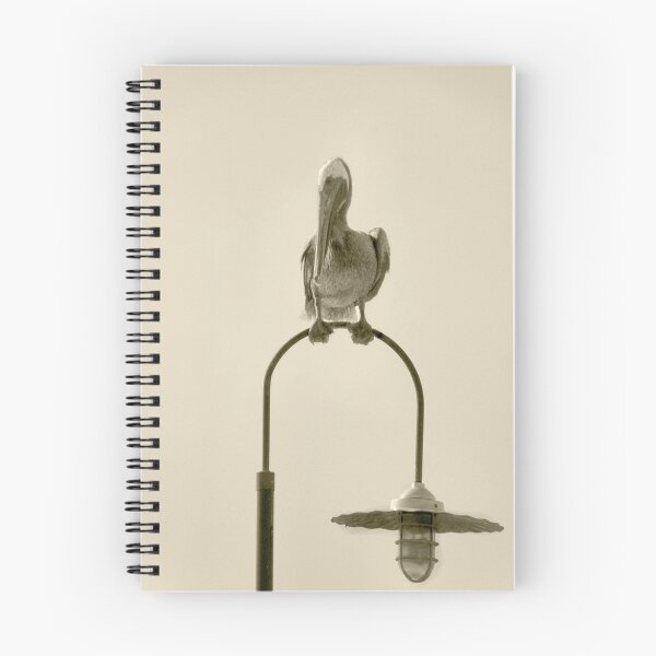 Item preview, Pelican On Lamp Post designed and sold by SuddenJim.