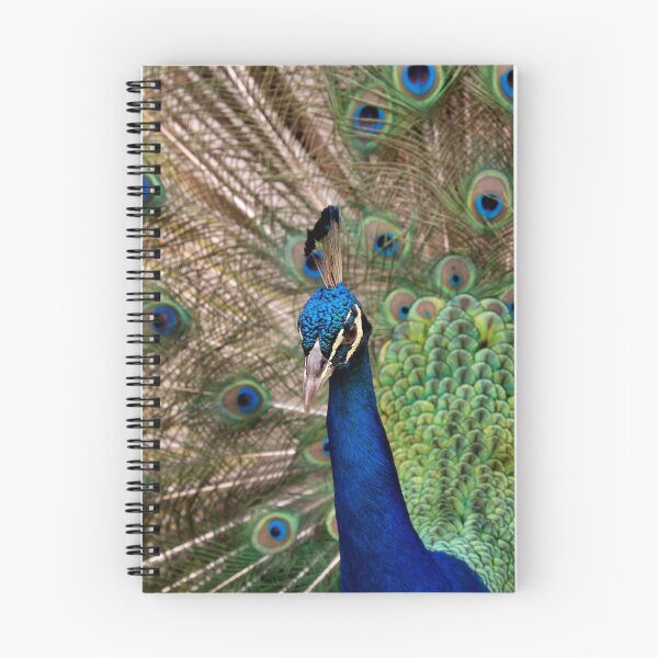 Item preview, Pavo Cristatus designed and sold by Franky Temaja Putra.