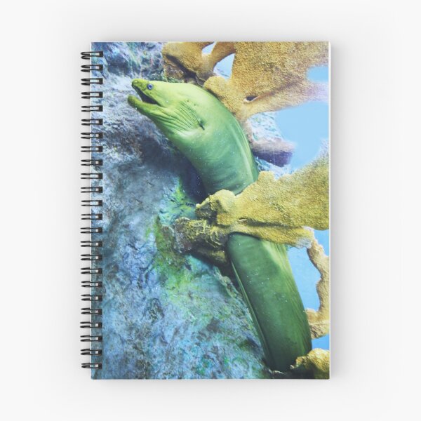 Artikelvorschau, Green Moray entworfen und verkauft von Paulette1021.