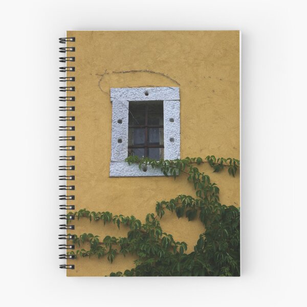 Item preview, Vine and a Window designed and sold by Karen  Rubeiz.