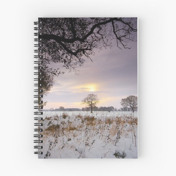 Item preview, December Sun designed and sold by Andrew Leighton.