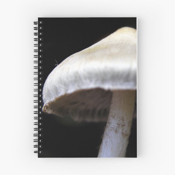 Item preview, Peeking Over designed and sold by Carla Wick/Jandelle Petters.