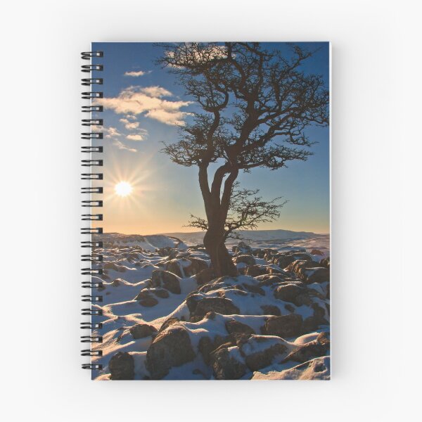 Item preview, Gnarly tree in a snowy landscape designed and sold by Shaun Whiteman.
