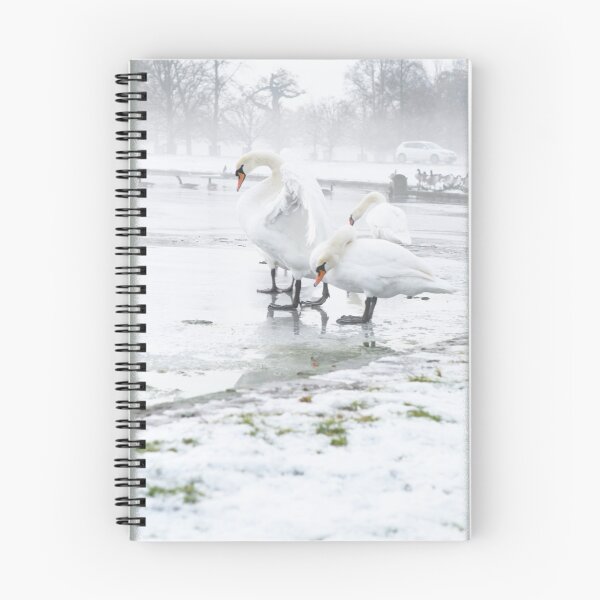 Item preview, Swan Lake designed and sold by lallymac.