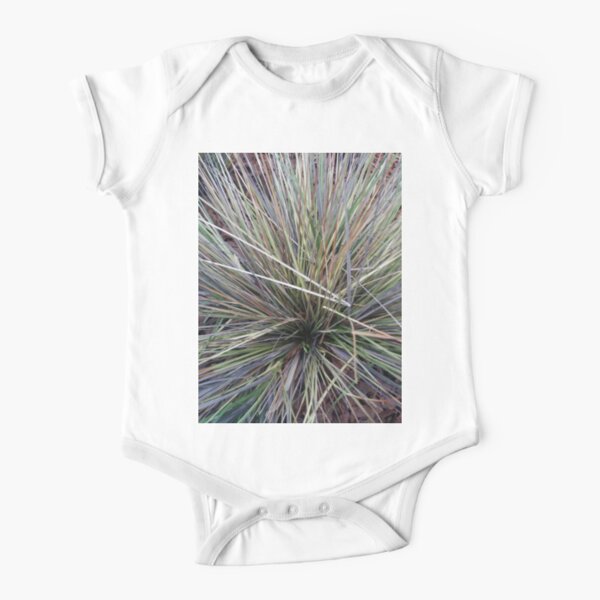 #Stamford, #StamfordCity, #winter, #nature, #snow, #frost, #outdoors, #icee #cold, #wood, #season, #bird, #tree, #frozen, #dry, #garden, #grass, #weather, #horizontal, #colorimage, #nopeople Short Sleeve Baby One-Piece