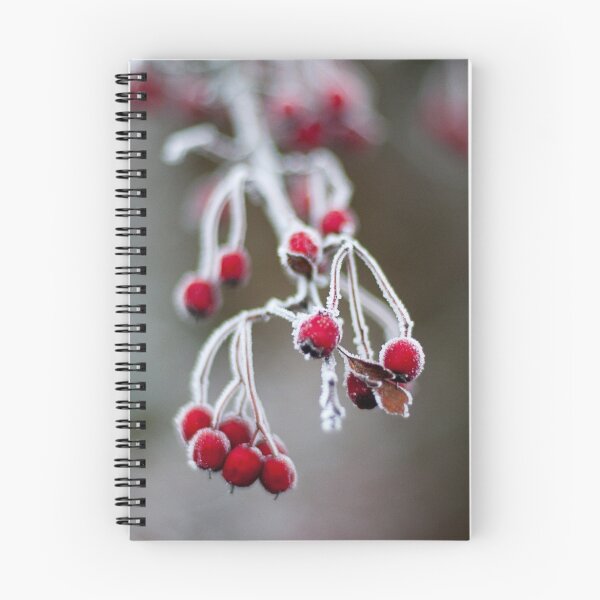 Item preview, Red & White designed and sold by Declan Howard.