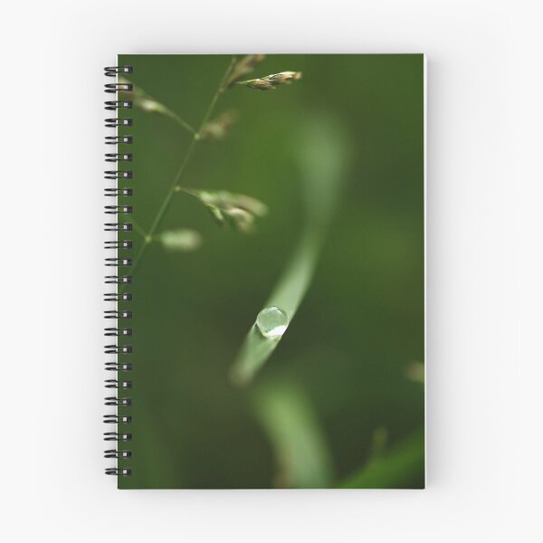 Item preview, Giving designed and sold by aambience.