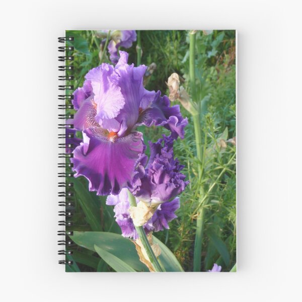 Item preview, Iris designed and sold by DEB CAMERON.