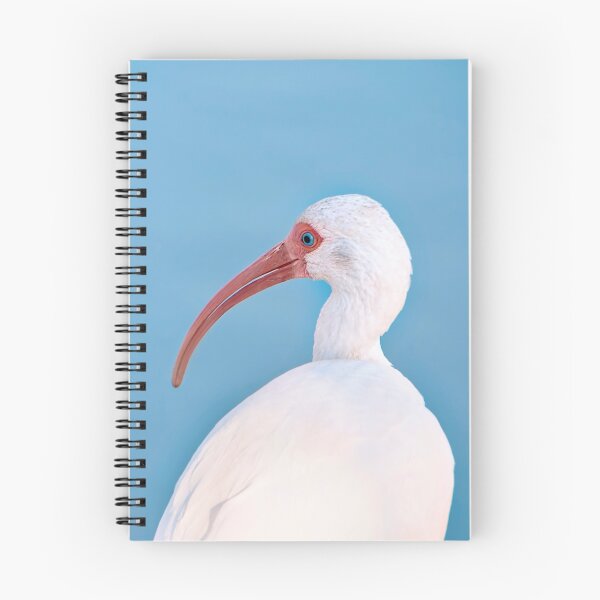 Item preview, Ibis designed and sold by Beth Mason.