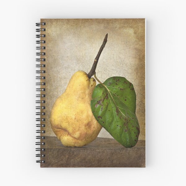 Aperçu de l'œuvre Quince Solo créée et vendue par Leslie Nicole.