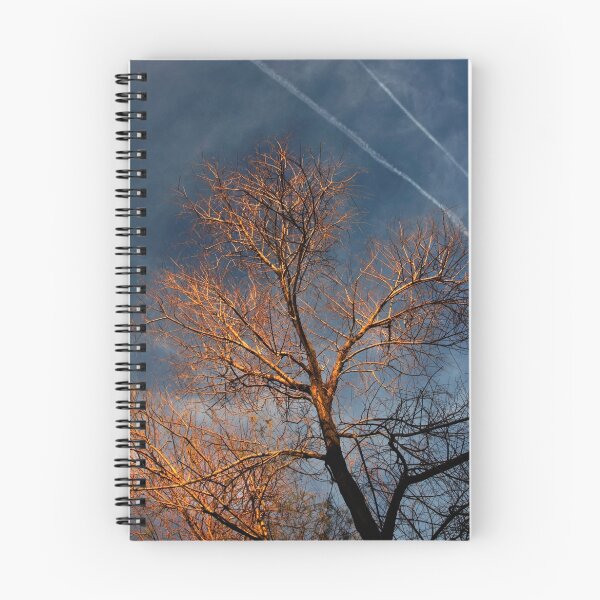 Item preview, Radiance designed and sold by Sue  Cullumber.