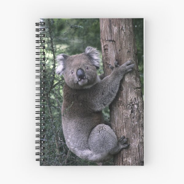 Item preview, Local Koala designed and sold by WendyJC.