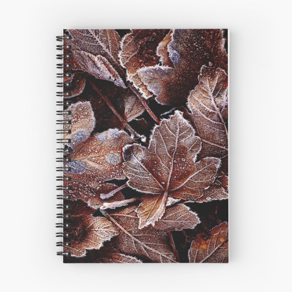 Item preview, Crisp designed and sold by James Coard.