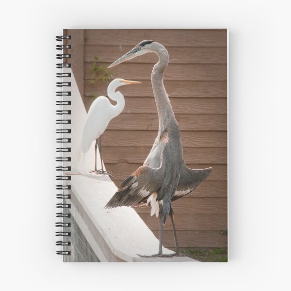 Item preview, "Flasher" - a great blue heron seems to be exposing itself designed and sold by ArtThatSmiles.
