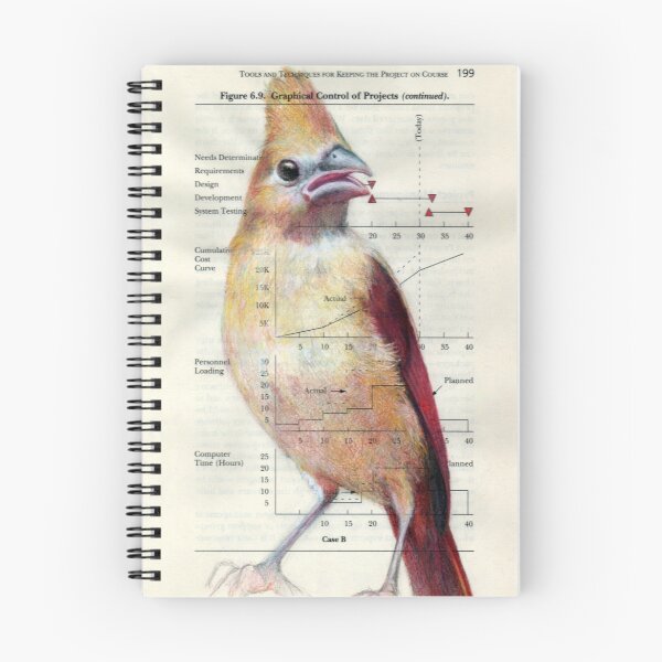 Item preview, Young Cardinal designed and sold by Paula Swisher.