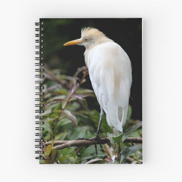 Aperçu de l'œuvre Bird créée et vendue par Caroline Hannessen.