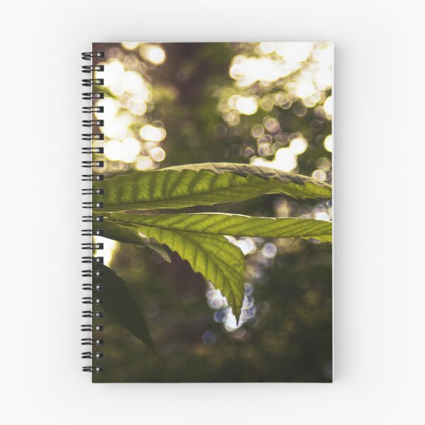 Item preview, Reaching designed and sold by Digital  Designs.