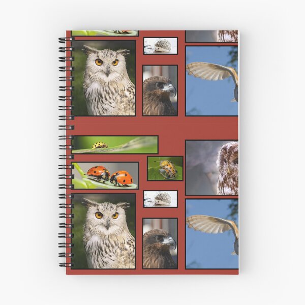Item preview, Diseño de Edu designed and sold by cosito.