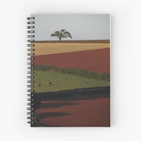 Item preview, Crops of Many Shades, Sampford Courtenay designed and sold by Ian Bracey.