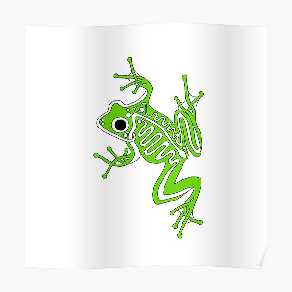 Frog Poster