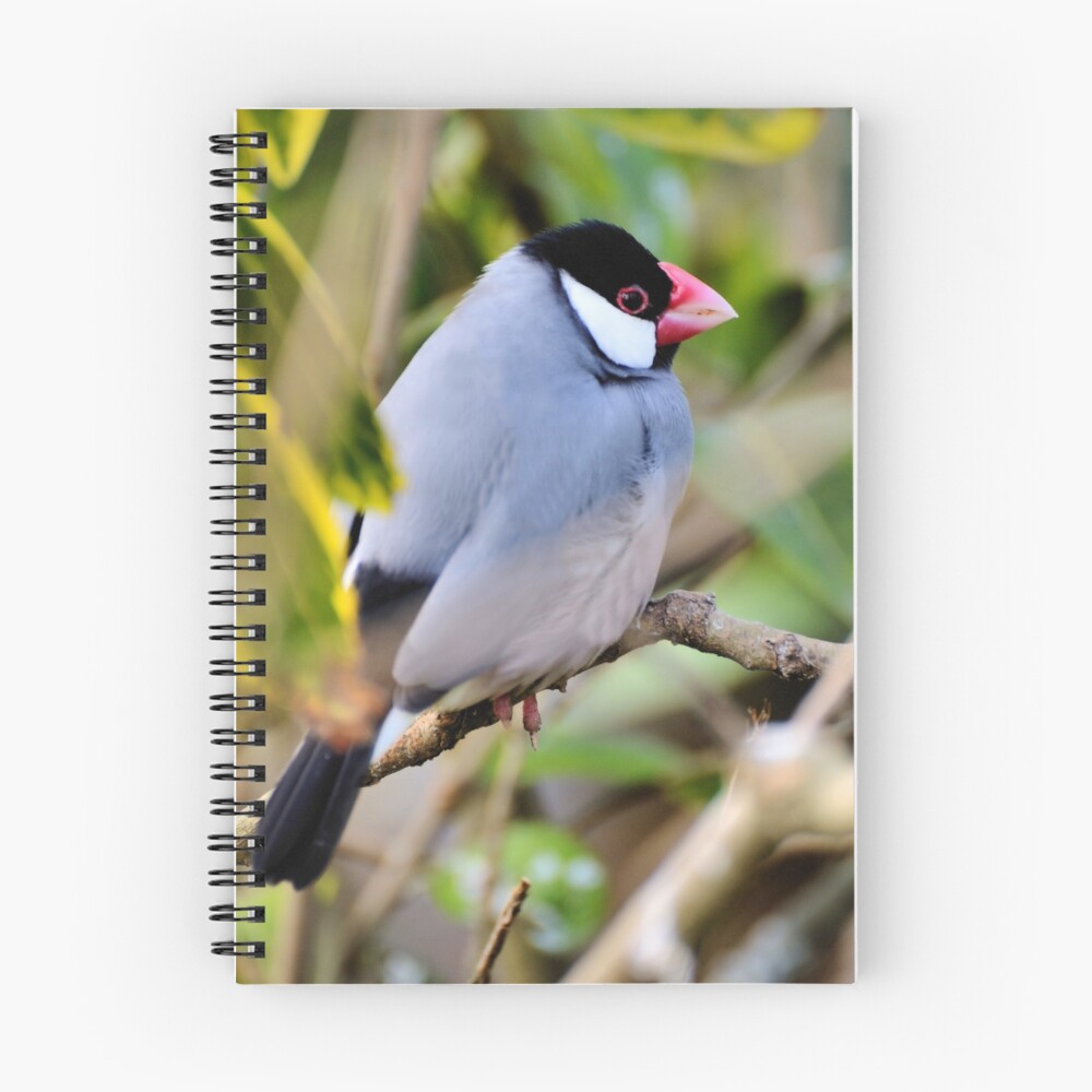 Item preview, Spiral Notebook designed and sold by JEZ22.
