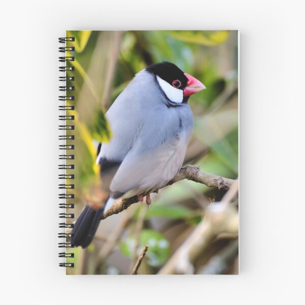Item preview, Java Sparrow designed and sold by JEZ22.