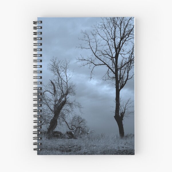 Item preview, Two Alone.... waiting for spring..... designed and sold by Larry Llewellyn.