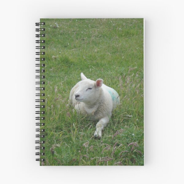 Item preview, Chillin' Sheep designed and sold by JaneMerson.