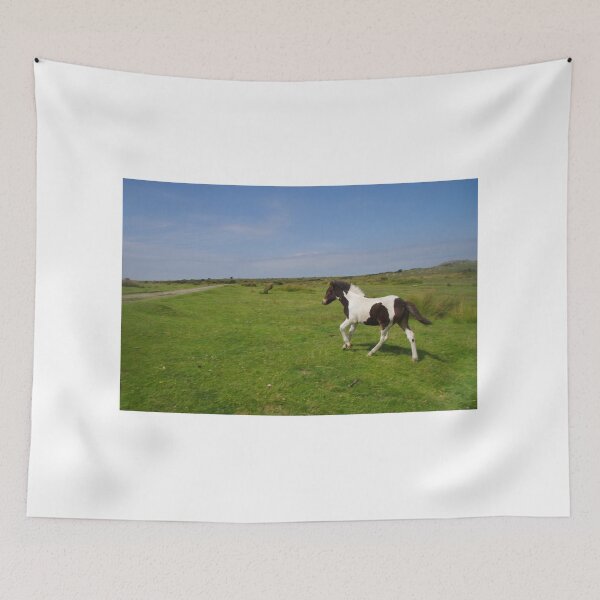 Item preview, Atacando por su cuenta (Bodmin Moor Pony) designed and sold by lezvee.
