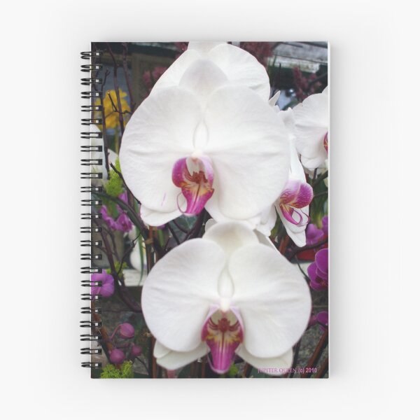 Aperçu de l'œuvre WHITE ORCHIDS # 2 créée et vendue par Jupiter Queen.