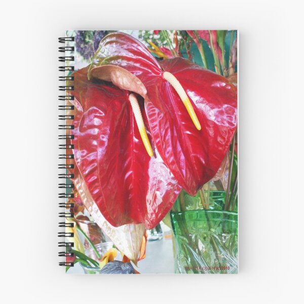 Aperçu de l'œuvre HAWAIIAN BEAUTY créée et vendue par Jupiter Queen.