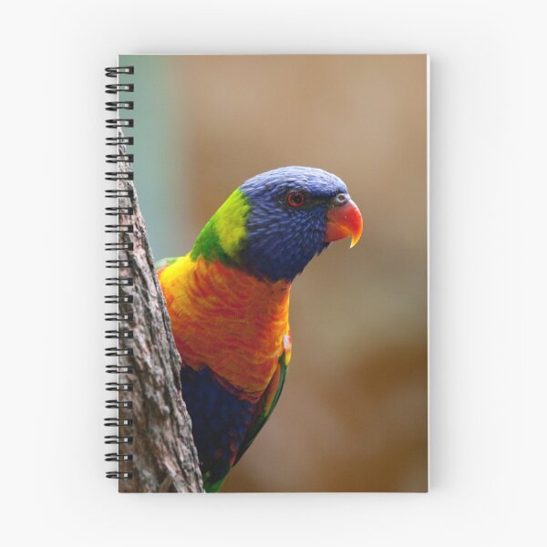 Item preview, Technicolour Lorikeet designed and sold by margotk.
