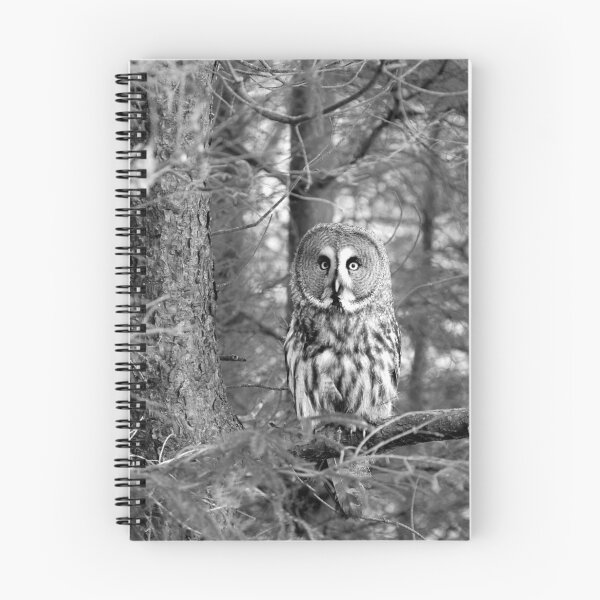 Item preview, great grey owl designed and sold by stephen  barber.
