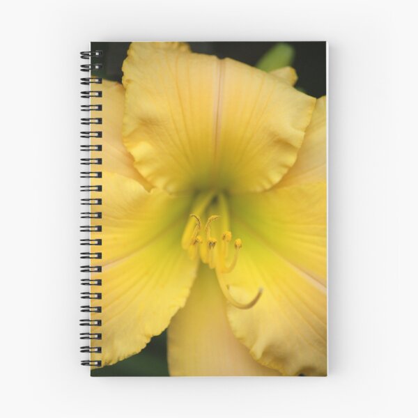Item preview, Yellow Lily designed and sold by crystalventerseye.