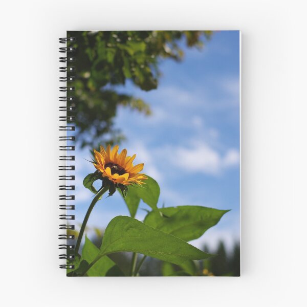 Item preview, sunflower designed and sold by Tammy Hale.