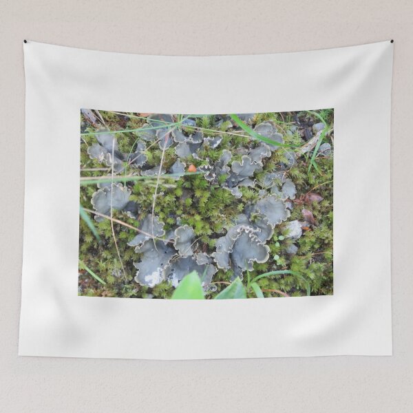 Item preview, Frilly Fungus And Moss designed and sold by lezvee.