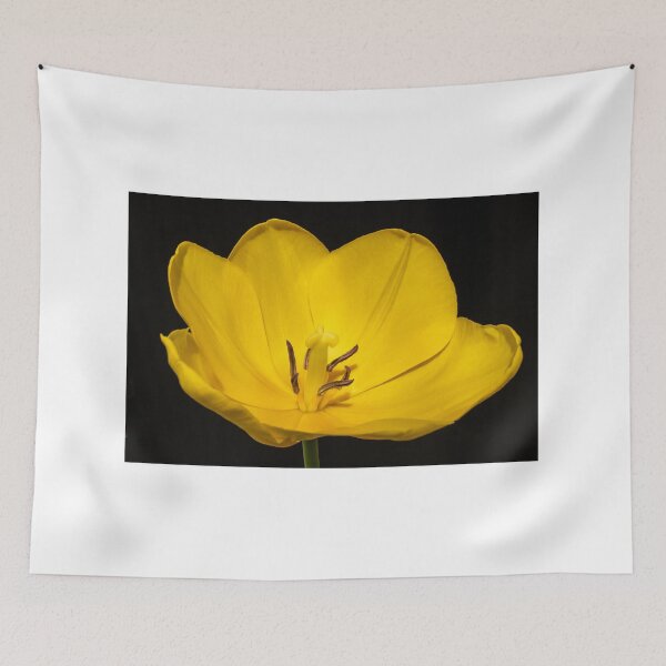 Item preview, Yellow tulip - Open - Close up designed and sold by DPalmer.