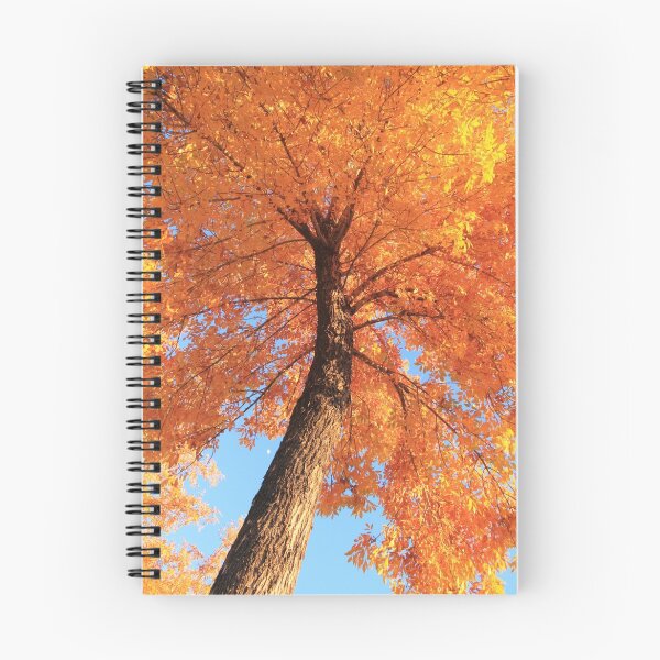 Item preview, Ablaze designed and sold by Sue  Cullumber.