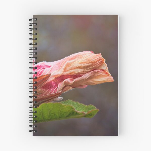 Item preview, Stokes Bay Bush Garden designed and sold by Anne Christie.
