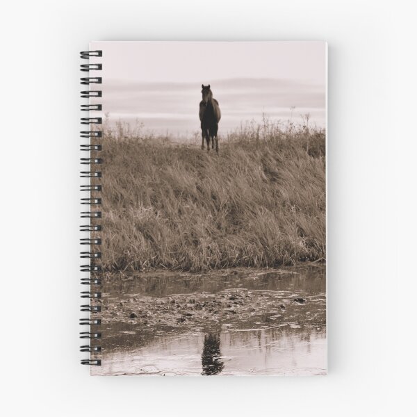Item preview, Lone Reflection designed and sold by stanowen.